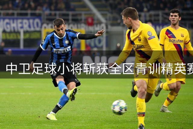 中卫足球小将斩获全区青训精英赛U9组别亚军