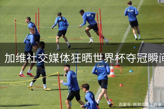 加维社交媒体狂晒世界杯夺冠瞬间 西班牙新星称将永生难忘