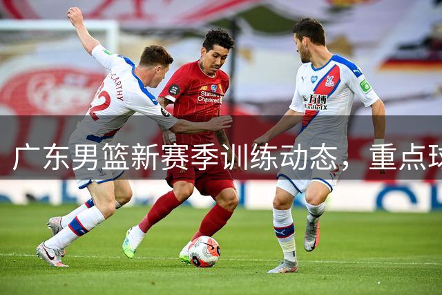 广东男篮新赛季训练动态，重点球员表现引关注