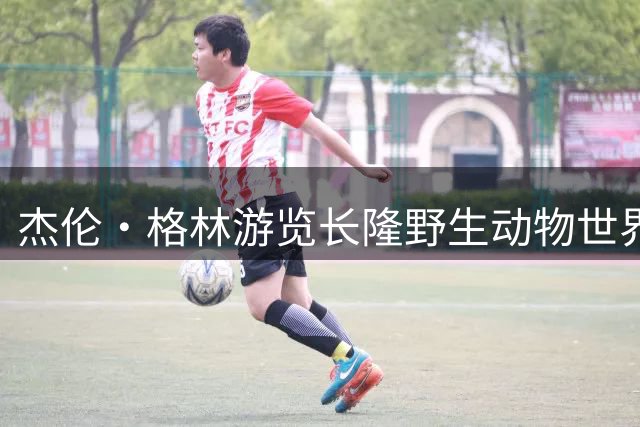 杰伦·格林游览长隆野生动物世界 被各种动物震惊！