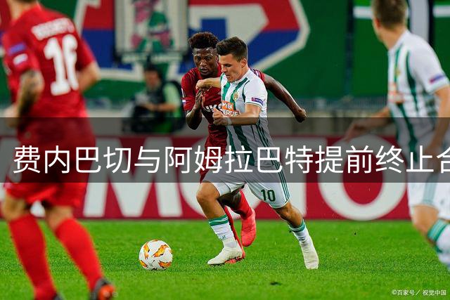 费内巴切与阿姆拉巴特提前终止合约